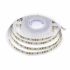 Світлодіодна LED стрічка гнучка 12V PROLUM™ IP20 2835\120 Series "PRO", Холодний-білий (9000-10000К)